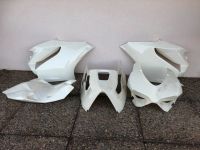 MRD Rennverkleidung Ducati Panigale 1199 / 899 Sachsen - Pirna Vorschau