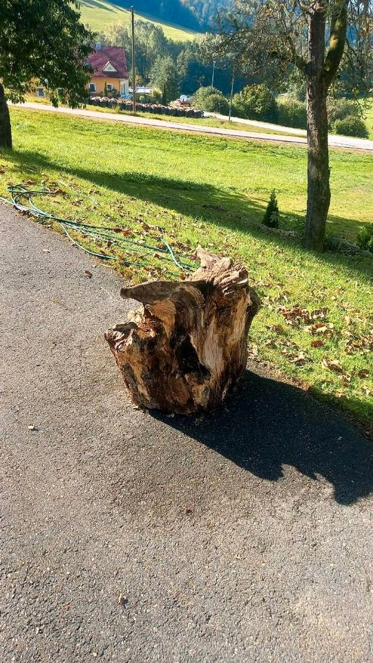 Dekoholz, Wurzelstock, Holz, Gartendeko in Zell Oberpf