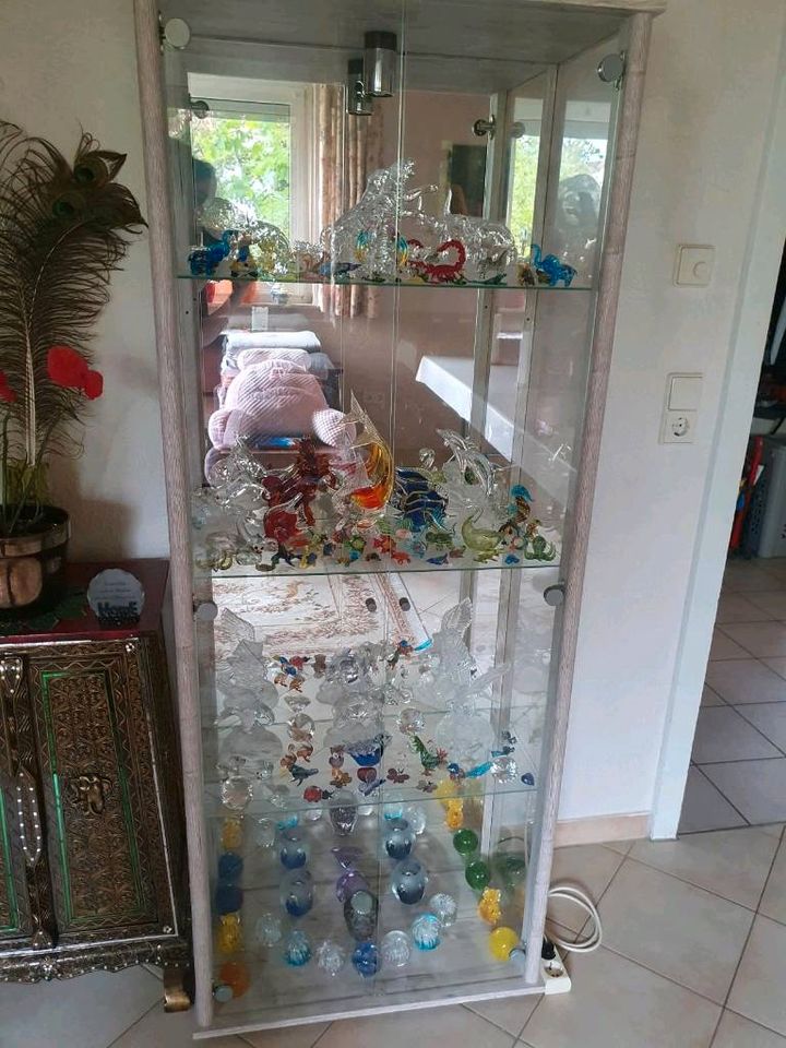 Glasvitrine mit Beleuchtung Sanremo Eiche in Waghäusel