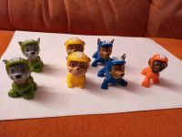 Kidsworld Ei Pudding Paw Patrol Figuren Bochum - Bochum-Südwest Vorschau