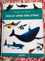 Kinderbuch Wale und Delfine paletti Wissen ist stark Rheinland-Pfalz - Ingelheim am Rhein Vorschau