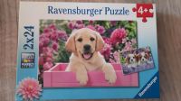 Ravensburger Puzzle 2×24 Teile Motiv Hund/Hunde wie neu Hessen - Lahntal Vorschau