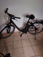 E-Bikes Kalkhoff, 2x, Damen- und Herren, Super Agattu 8RT 28 Wave Nordrhein-Westfalen - Lippstadt Vorschau