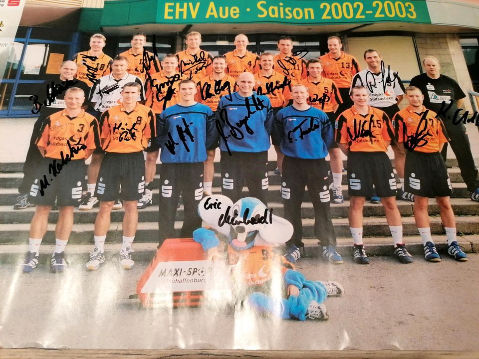 EHV Aue Handball Saison 2002/2003 Mannschaftsposter Autogramme in Schneeberg