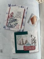 Wintertraum Stempel Stampin Up Stanzen Zweige Hessen - Friedberg (Hessen) Vorschau