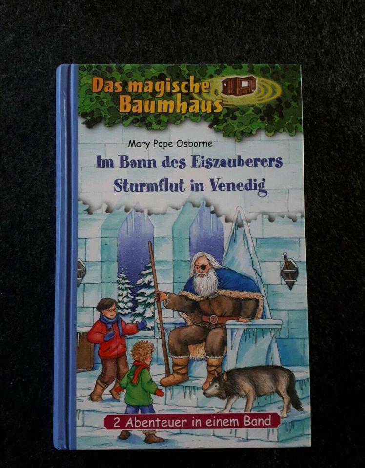 Das magische Baumhaus / Im Bann des Eiszauberers / Buch Kinder in Offenau