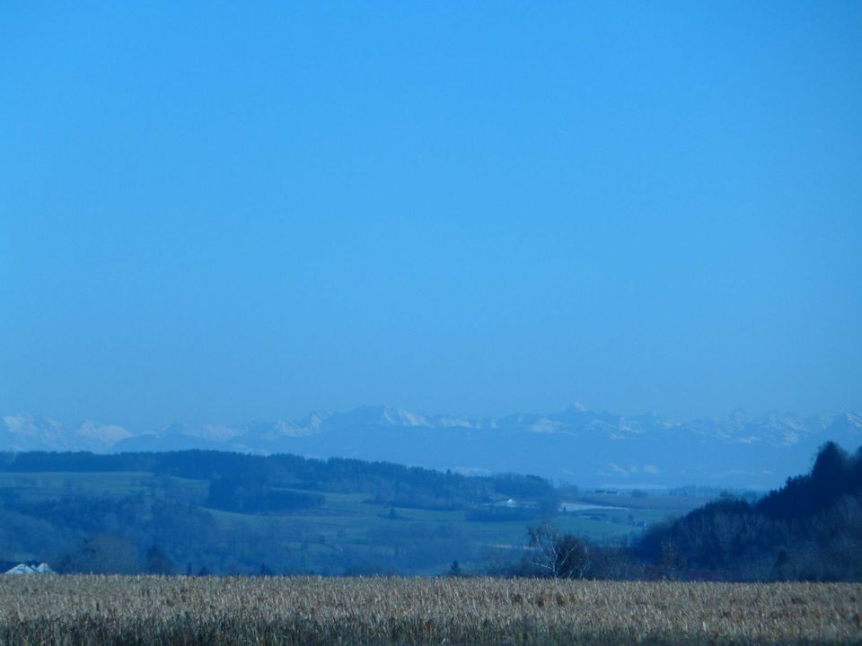 Freizeitgrundstückle - Wäldchen-Krautland in Illmensee