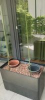 Kübel für pflanzen drinnen oder draußen Stuttgart - Bad Cannstatt Vorschau