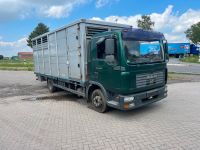 MAN Viehtransporter TGL 12.210 / 4x2 BL Niedersachsen - Scholen Vorschau