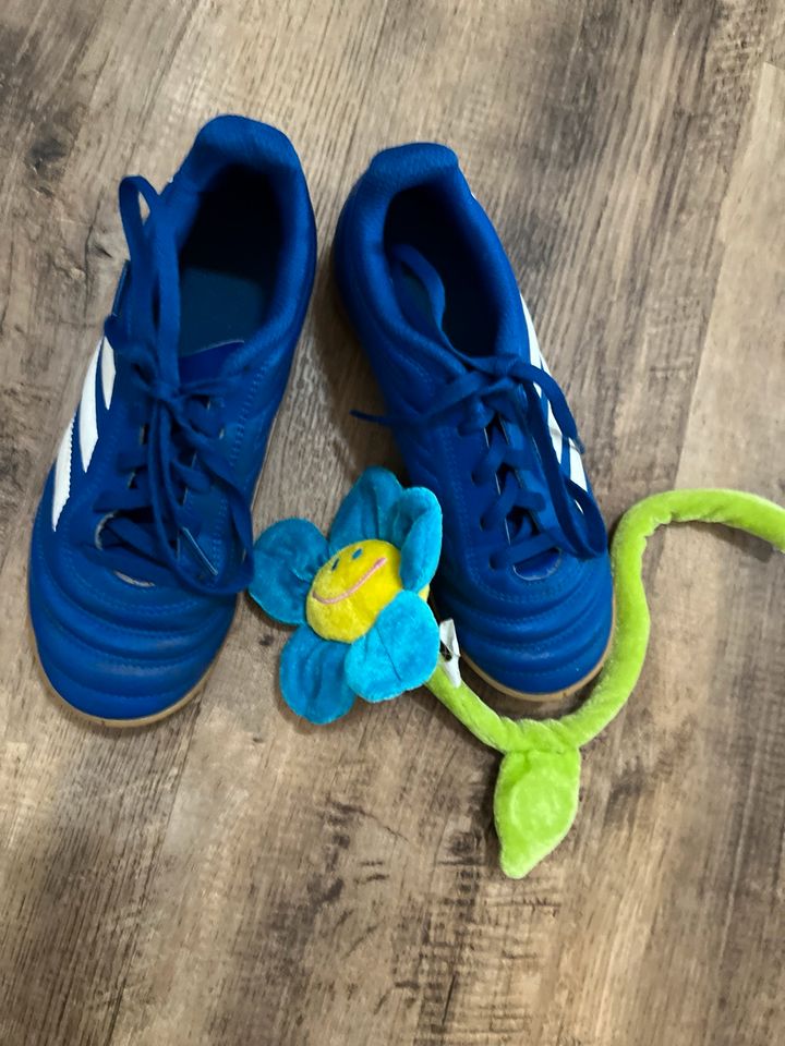 Hallen Fußballschuhe Gr.33 in Eichstätt