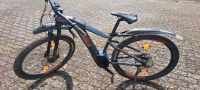 BH ATOMX Hardtail mit Brose Motor Bayern - Burkardroth Vorschau