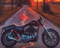 Harley Davidson CUP Sportster Supertrapp Kodlin Flat Track Mags Nordrhein-Westfalen - Gütersloh Vorschau