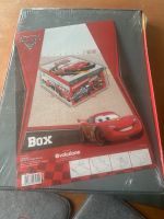 Cars 2 Box neu 50x40x25 Bayern - Gallmersgarten Vorschau