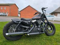 Harley Davidson Sportster 48 Schleswig-Holstein - Todesfelde Vorschau