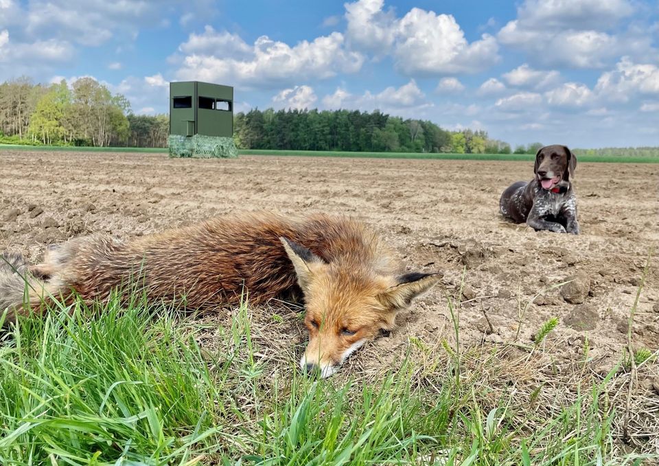 Mobile Jagdkanzel, Kanzel, Schlafkanzel, Jagd, Hochsitz in Emsbüren