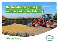 ☘️ Betriebshelfer [m|w|d] für die Landwirtschaft ☘️ Niedersachsen - Papenburg Vorschau