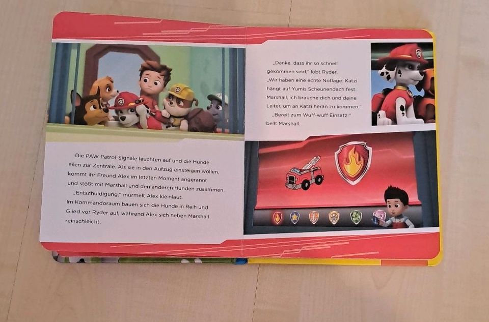 Buch Paw Patrol Hilfe für Katzi in Nidderau