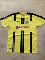 Fussball-Shirt BVB   -  Gr. L Dresden - Klotzsche Vorschau