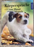 Körperspannung von Hund und Mensch Bayern - Baldham Vorschau