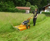 Hochgrasmäher Wiesenmäher Balkenmäher mieten bei Schongau Bayern - Steingaden Vorschau