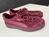 Puma Schuhe Bielefeld - Sennestadt Vorschau