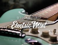 Electric Mint | Native Instruments - Session Guitarist Niedersachsen - Freden Vorschau