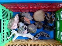 Aquarium Zubehör Essen - Huttrop Vorschau