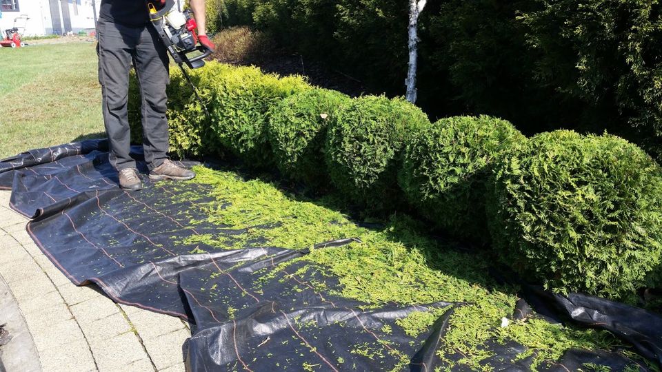 Gartenarbeit & Gartenpflege |Baumschnitt Fällen |Hecke schneiden in Dorsten