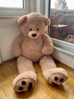 XXL Riesen Teddybär Münster (Westfalen) - Geist Vorschau