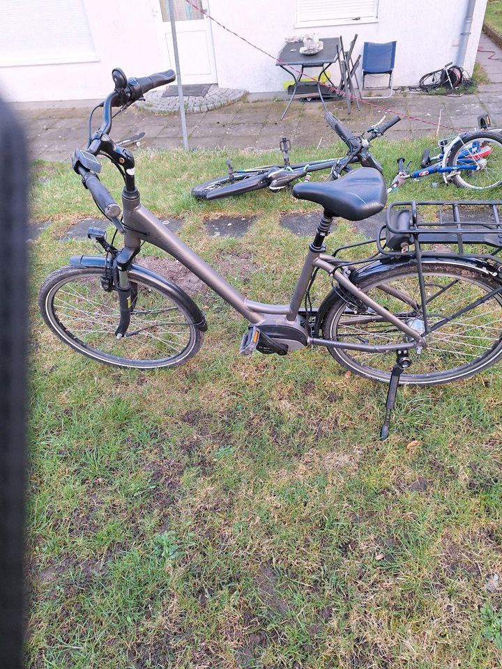 E-Bikes Viktoria/Raleigh in Süsel
