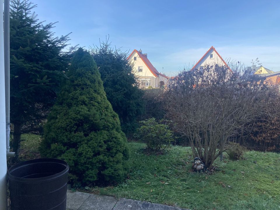 Wohnung mit Terrasse und Garten in Zwickau