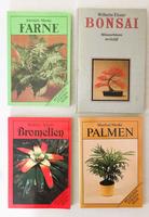 DDR/ 4 Pflanzenbücher: FARNE,PALMEN,BROMELIEN,BONSAI Gerbstedt - Welfesholz Vorschau