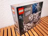 LEGO Ideas 21320 - Dinosaurierfossilien Rheinland-Pfalz - Lingenfeld Vorschau