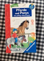 Spiel „Pferde und Ponys“, wieso, weshalb, warum Niedersachsen - Lübbow Vorschau