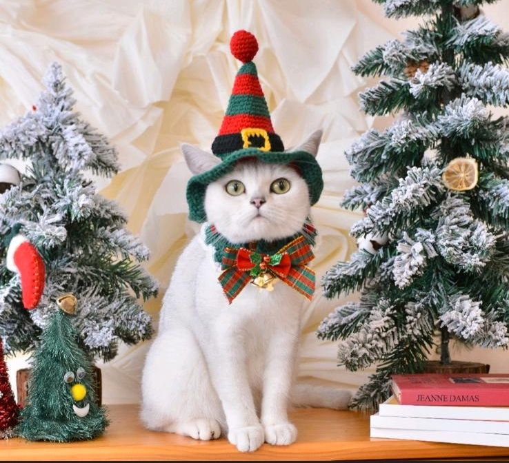 Kostüm Tiere Katze Hund Kleidung süß Elfe in Essen