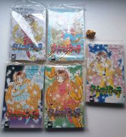 Dream Saga 1-5 Manga Megumi Tachikawa Thüringen - Hildburghausen Vorschau