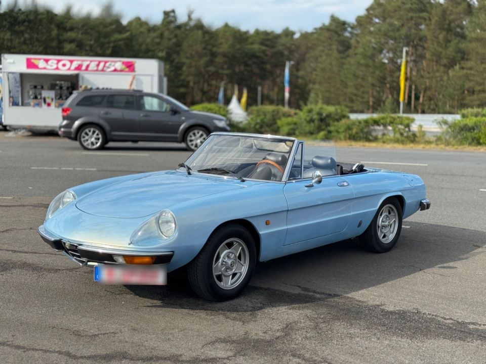 Alfa Romeo Spider in Schöneiche bei Berlin