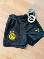 Baby BVB Hose schwarz gelb 68 kurze Hose Dortmund NEU Niedersachsen - Rinteln Vorschau