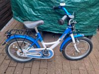 Fahrrad  16 Zoll Herzogtum Lauenburg - Ratzeburg Vorschau