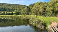 Suche Weiher Teich Bayern - Cham Vorschau