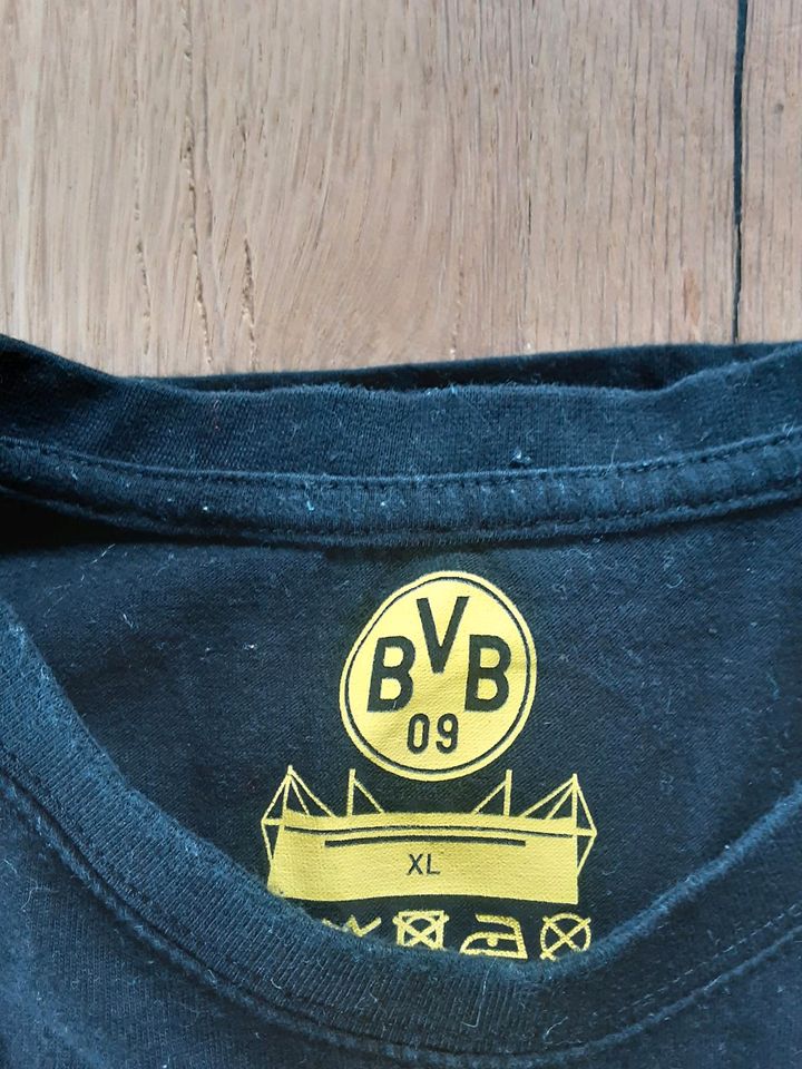 BVB Borussia Dortmund T-Shirt Shirt Gr. XL in Stralsund