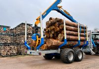 Brennholz Kaminholz aus der Region trocken ofenfertig gespalten❗️ Brandenburg - Rüdnitz Vorschau