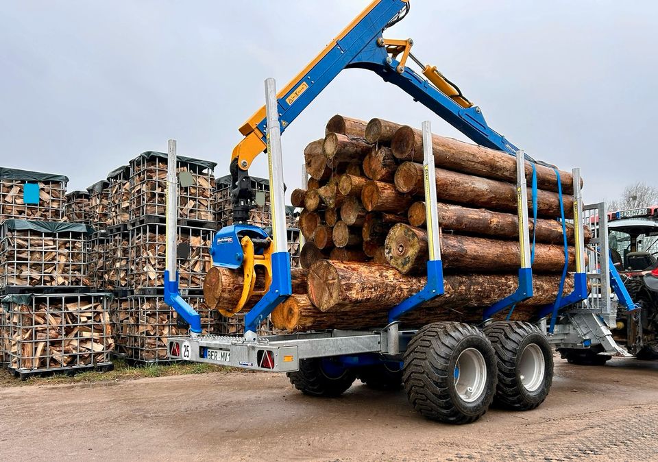 Brennholz Kaminholz aus der Region trocken ofenfertig gespalten❗️ in Rüdnitz