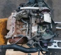 OPEL 1.3 CDTI EU5 A13DTC MOTOR KOMPLETT Brandenburg - Hennigsdorf Vorschau