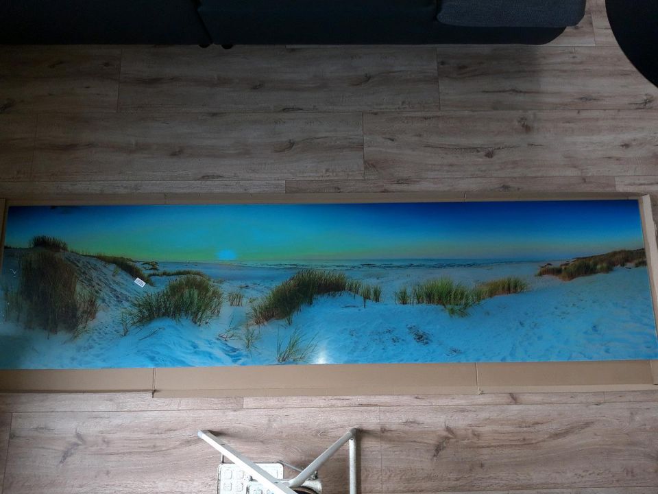 Acrylglas Wandbild/Rückwand in Wees