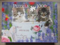 Puzzle - 1000 Teile - Katzenkinder - süß ! Kiel - Neumühlen-Dietrichsdorf-Oppendorf Vorschau