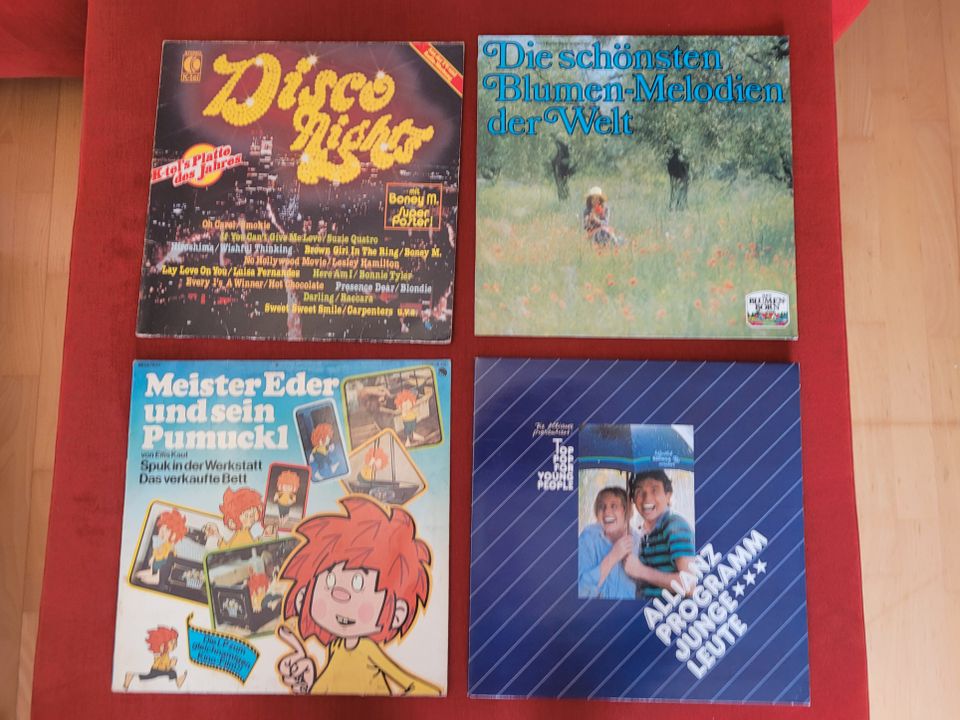 Schallplatten Konvolut-LP Sammlung-60 Stück Alben, auch 2,3 u.4LP in Freising