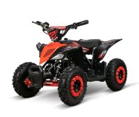 SUCHE: Kinder-Quad 800-1000W 36V 6 Zoll Brandenburg - Fürstenwalde (Spree) Vorschau