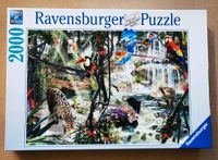 Puzzle 2000 Teile * Dschungelimpressionen Nordrhein-Westfalen - Nettetal Vorschau