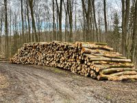Buche Stammholz / Rundholz Holz für Brennholz inkl. Lieferung Rheinland-Pfalz - Worms Vorschau